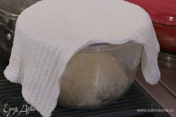 Сформировать из теста шар, выложить в глубокую посуду, накрыть смоченным в горячей воде и отжатым полотенцем и дать тесту подойти.