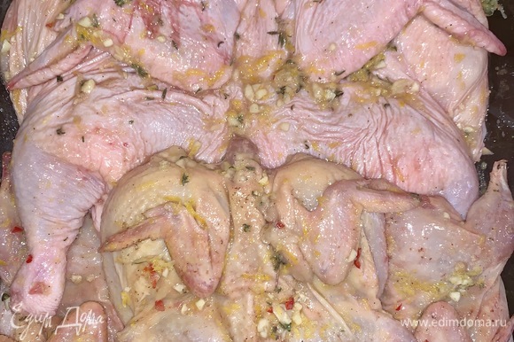 Обмазать цыпленка и перепелов маринадом, уложить в емкость, накрыть пленкой, оставить на 1 час.