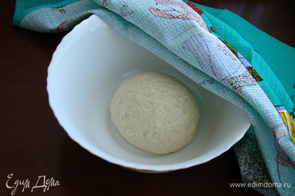 Замесить тесто. Смазать руки растительным маслом и тщательно вымесить тесто. Затем сформировать колобок и поместить в миску, смазанную растительным маслом. Накрыть салфеткой и поставить в теплое место примерно на час.