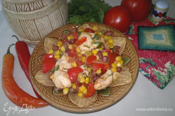 Вкусная и ароматная курица по-мексикански готова! Разложить блюдо по порциям. Угощайтесь! Приятного аппетита!