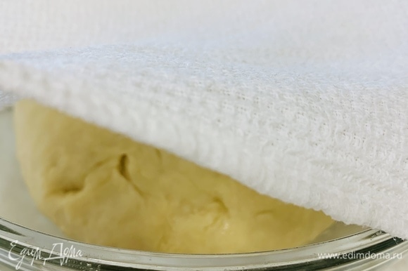 Собираем тесто в шар и отправляем в миску, смазанную растительным маслом. Обваливаем тесто со всех сторон в миске, чтобы оно покрылось легким слоем масла, и накрываем его влажным (не мокрым!) полотенцем. Убираем в теплое место на 1–1,5 часа.