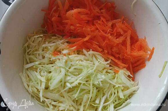 Капусту мелко шинкуем и обминаем с солью. Добавляем тертую морковь. Стебли сельдерея режем мелкими кусочками. Добавляем к капусте.