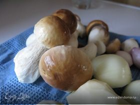 "Porcino" - осенний суп из белых грибов