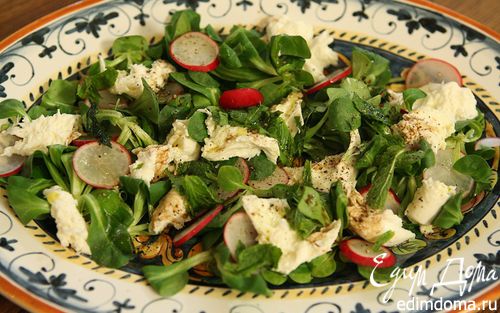 Рецепт Весенний салат с редиской, моцареллой и мятой