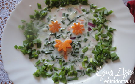 Рецепт Окрошка с цветной капустой (" холодные супы")