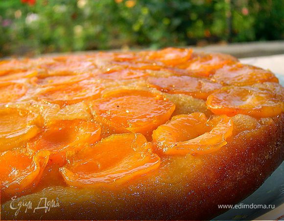 Пирог с абрикосами: рецепт приготовления с фото
