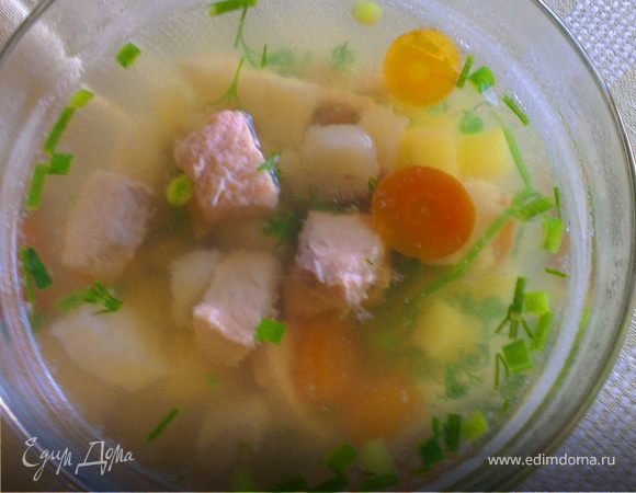 Вкусные рецепты приготовления супов из рыбы