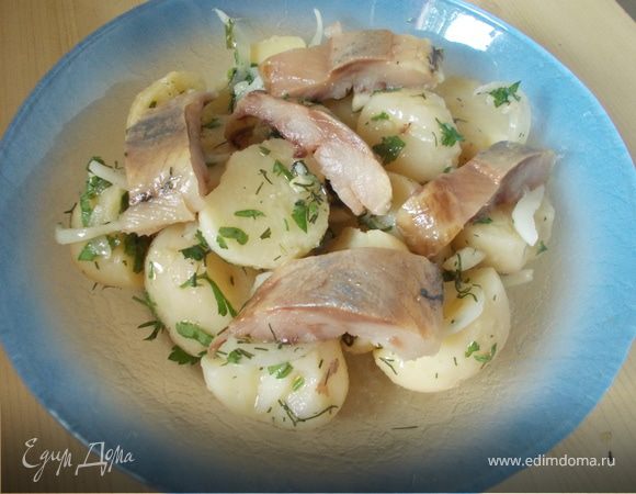 Картофельный салат с селедкой, луком и свежим огурцом