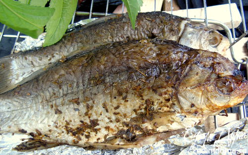 Рецепт Рыбка-гриль