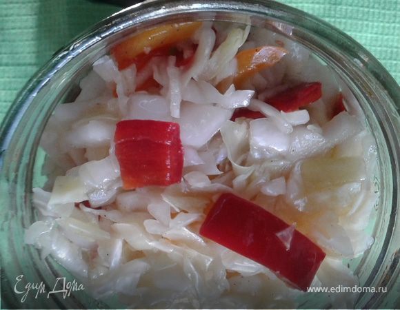 Маринованная капуста с луком - 9 рецептов быстрого приготовления с пошаговыми фото